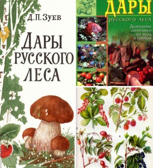 Дары русского леса. Сборник 2 книги (1966.2000) PDF,DjVu,RTF,FB2,EPUB