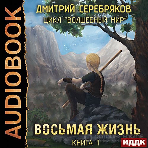 Серебряков Дмитрий. Волшебный мир. Восьмая жизнь (Аудиокнига)