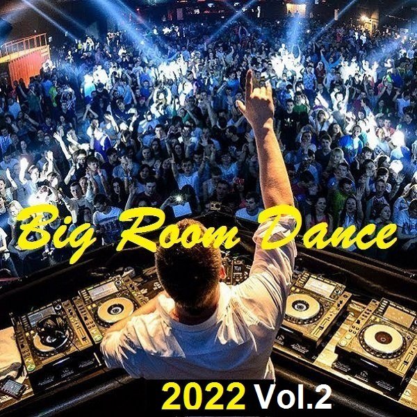 Big Room Dance Vol.2