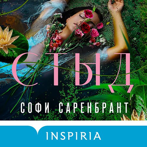 Саренбрант Софи. Стыд (Аудиокнига)